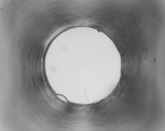 X0000052610100200507292159