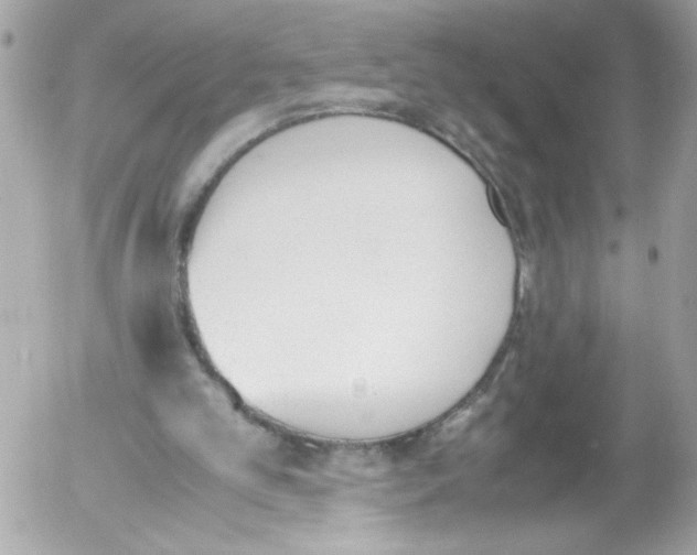 X0000052610101200507292159