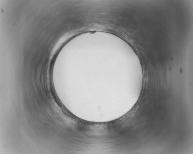 X0000052610102200507292159