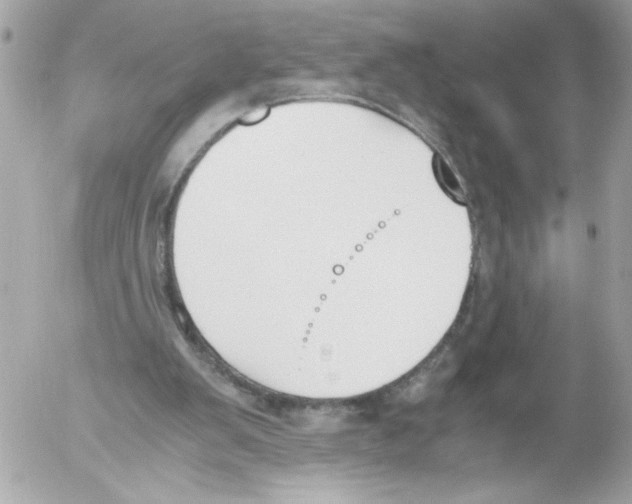 X0000052610103200507292159