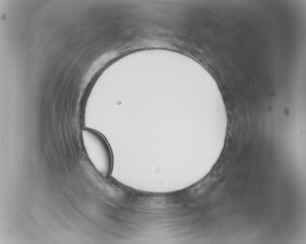 X0000052610104200507292159