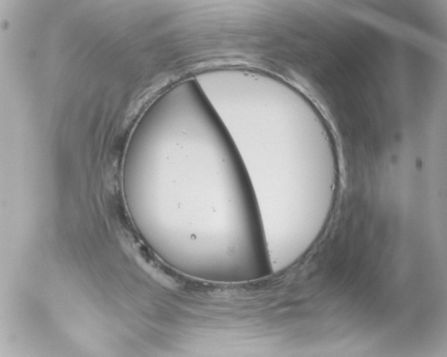 X0000052610105200507292159