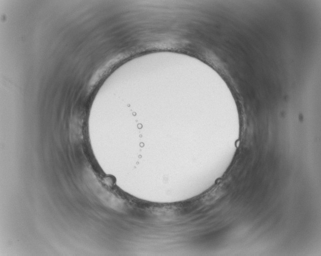 X0000052610106200507292159