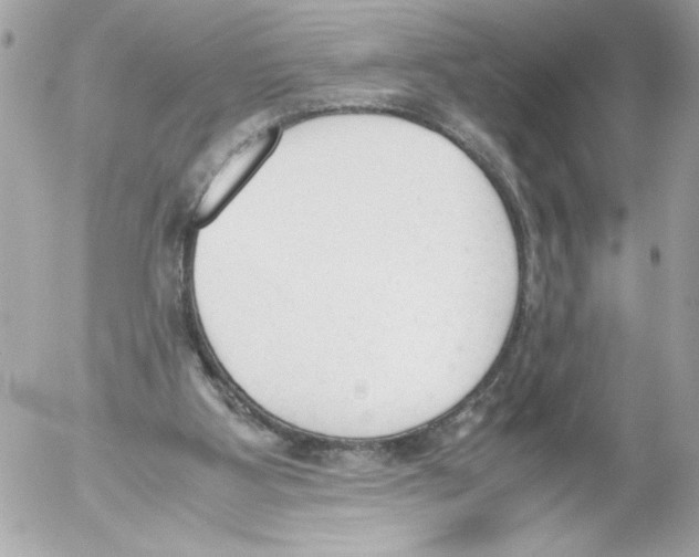 X0000052610107200507292159