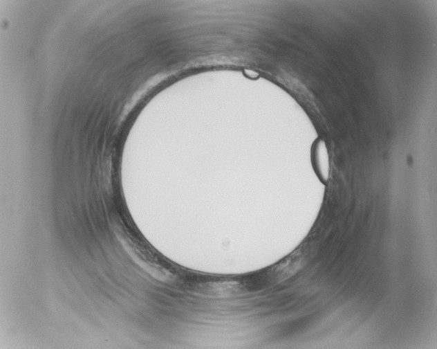 X0000052610108200507292159