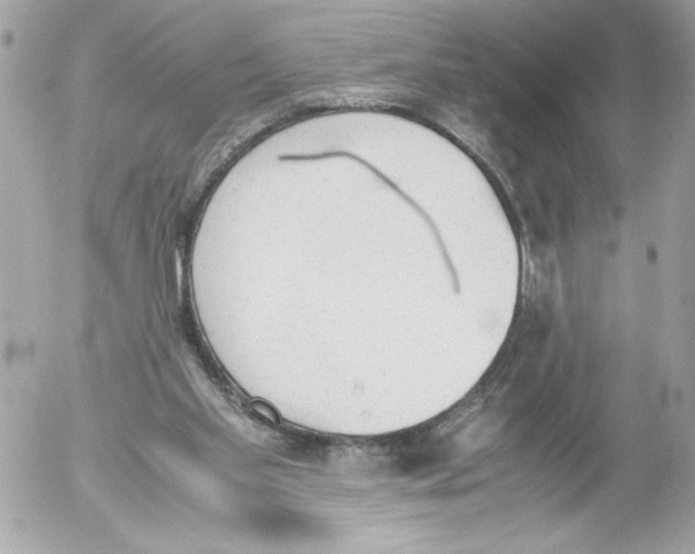 X0000052610109200507292159