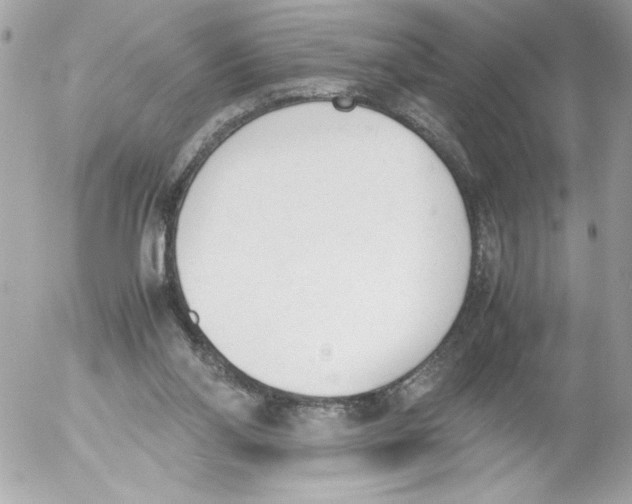 X0000052610110200507292159