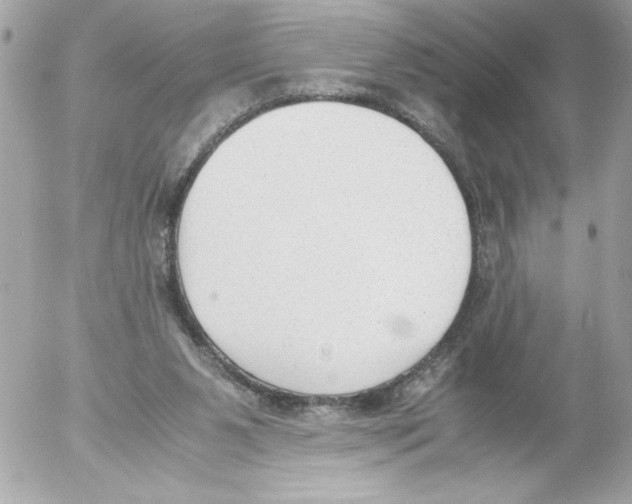 X0000052610111200507292159