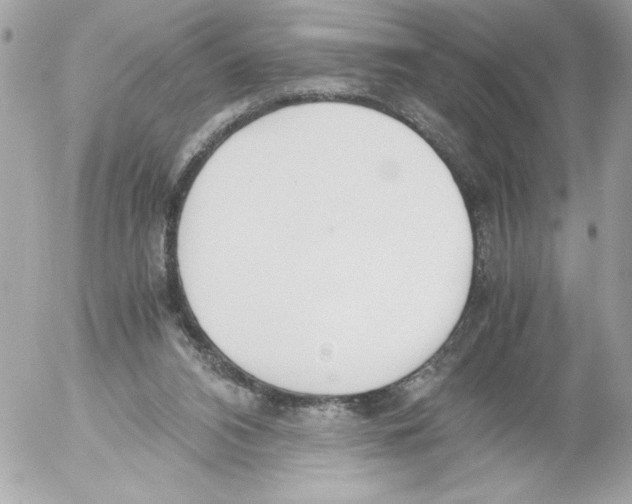 X0000052610112200507292159