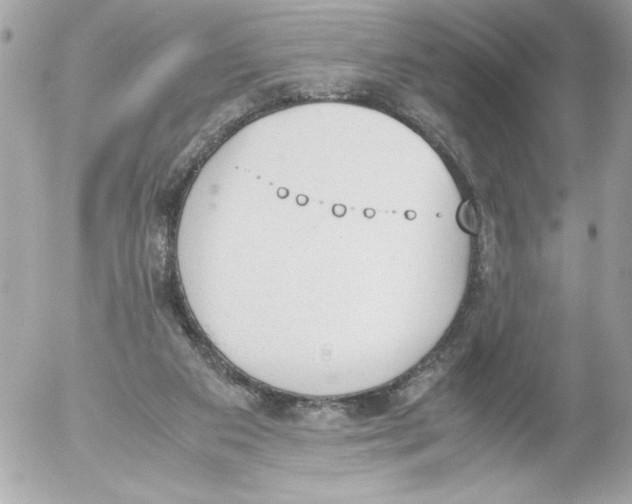 X0000052610113200507292158