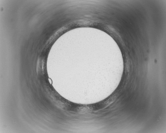 X0000052610115200507292158