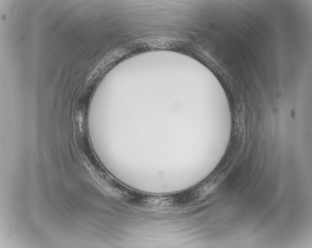 X0000052610117200507292158