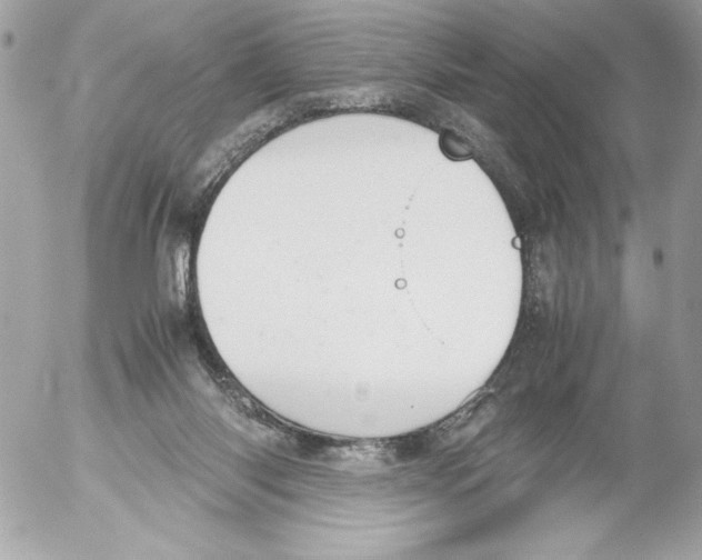 X0000052610118200507292158