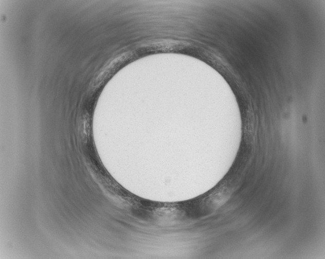 X0000052610119200507292158