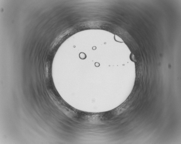 X0000052610120200507292158