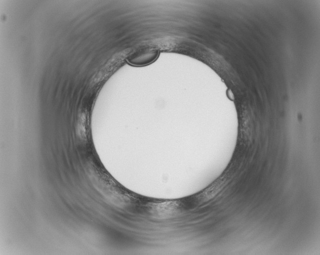 X0000052610122200507292158