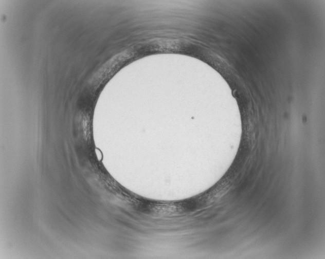 X0000052610123200507292158