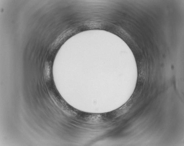 X0000052610124200507292158