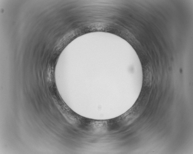 X0000052610126200507292158