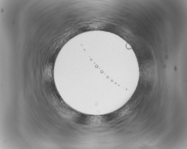 X0000052610127200507292158