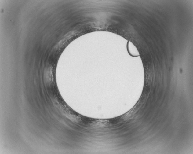 X0000052610128200507292158