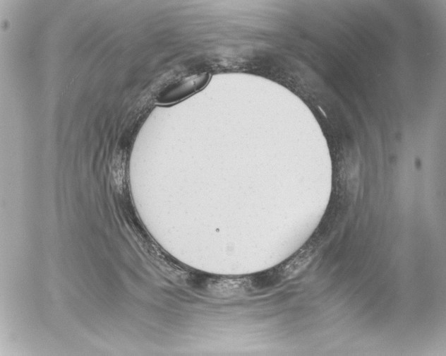 X0000052610129200507292158