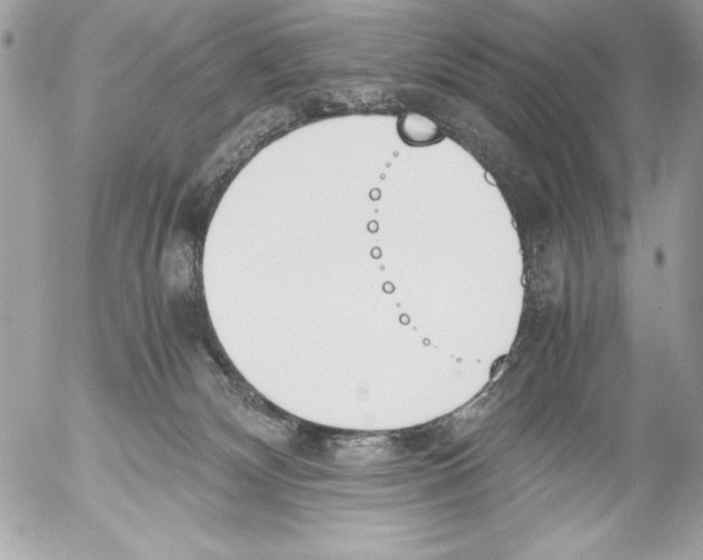 X0000052610132200507292158