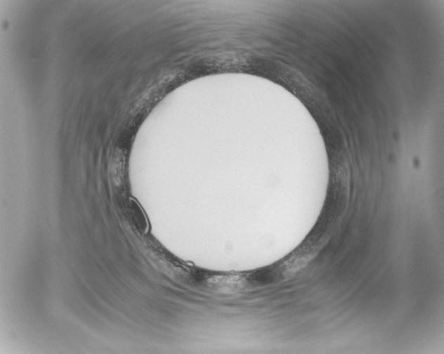 X0000052610133200507292158