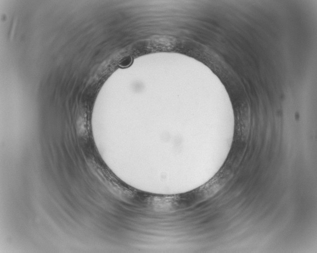 X0000052610134200507292158