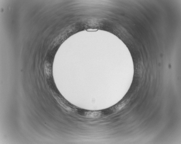 X0000052610135200507292158