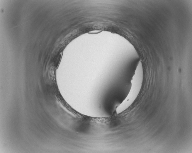 X0000052610137200507292158