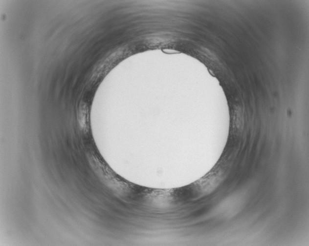 X0000052610138200507292158