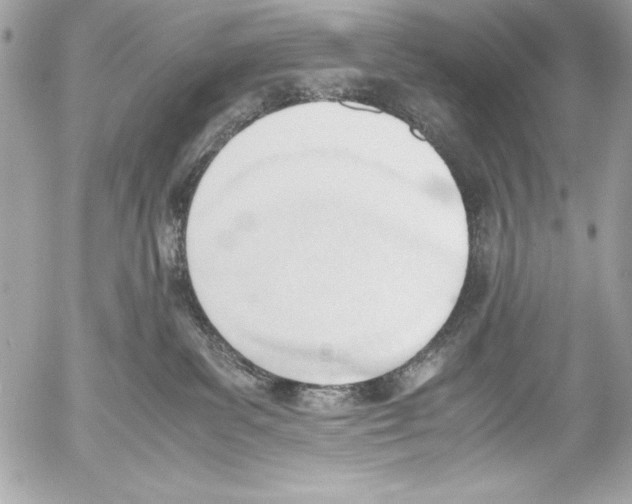 X0000052610139200507292158