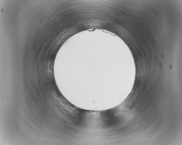 X0000052610140200507292158