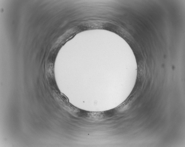 X0000052610141200507292158