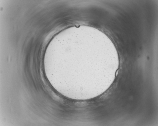 X0000052610145200507292157