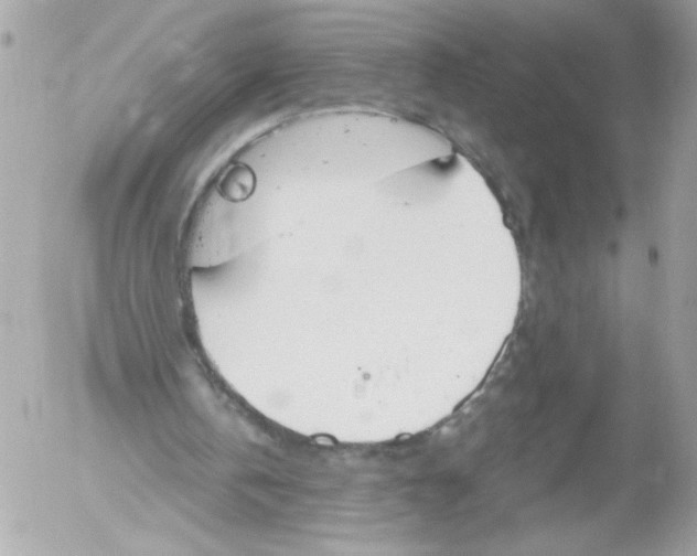 X0000052610146200507292157