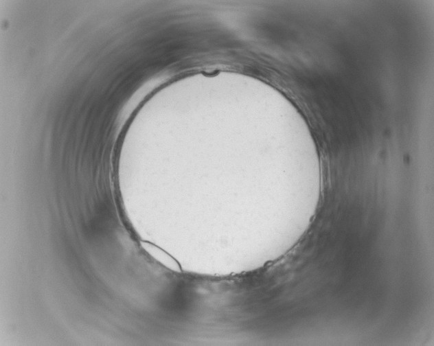 X0000052610147200507292157