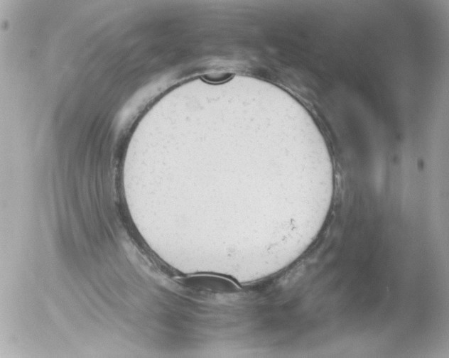 X0000052610149200507292157