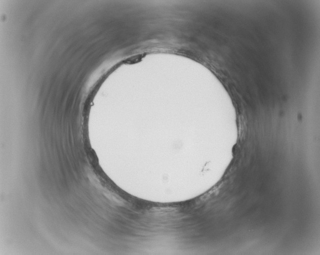 X0000052610150200507292157