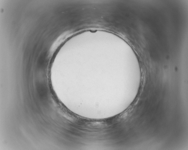 X0000052610151200507292157