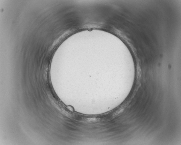 X0000052610153200507292157