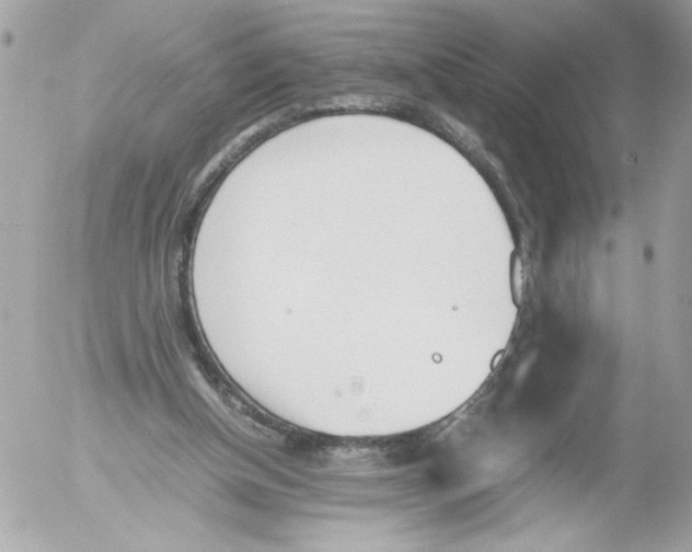 X0000052610154200507292157