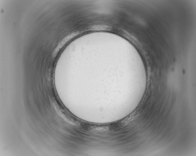 X0000052610155200507292157