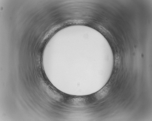 X0000052610158200507292157