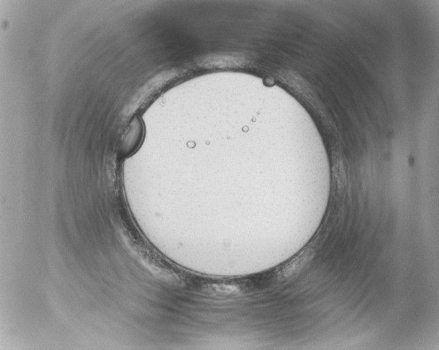 X0000052610159200507292157