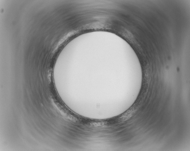 X0000052610160200507292157