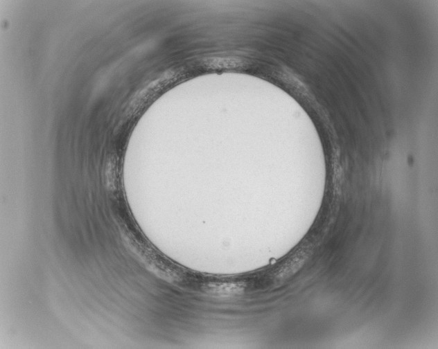 X0000052610161200507292157