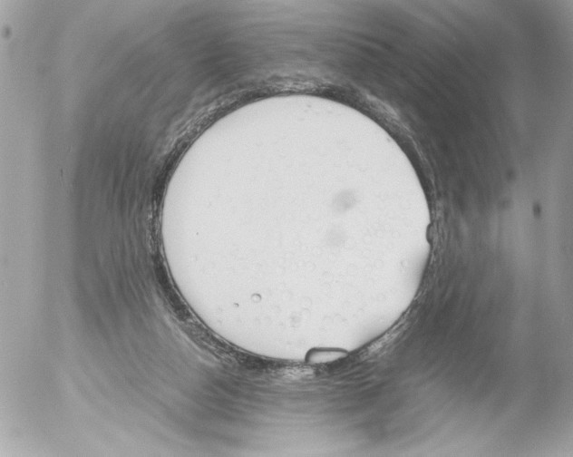 X0000052610162200507292157