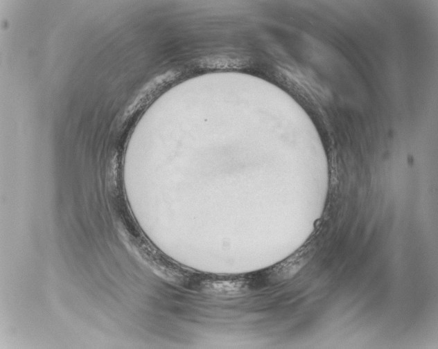 X0000052610163200507292157